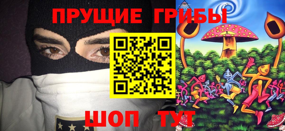 Псилоцибиновые грибы Psilocybe Острогожск