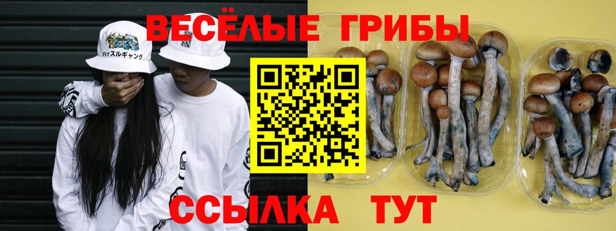Галлюциногенные грибы GOLDEN TEACHER  Вход с VPN  Острогожск 